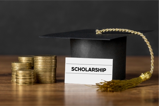 Scholarship-firebird